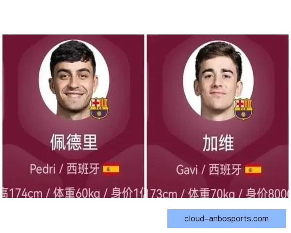 佩德里与加维西班牙队控场表现数据对比分析